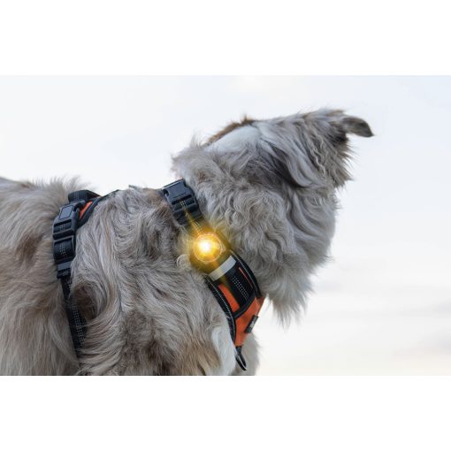 Orbiloc Dog Dual biztonsági lámpa | sárga