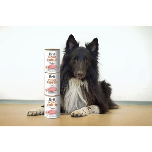 Brit Mono Protein konzerv pulyka 400 g