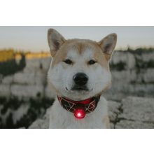 Orbiloc Dog Dual biztonsági lámpa | piros