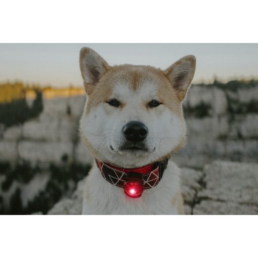 Orbiloc Dog Dual biztonsági lámpa | piros