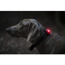 Orbiloc Dog Dual biztonsági lámpa | piros
