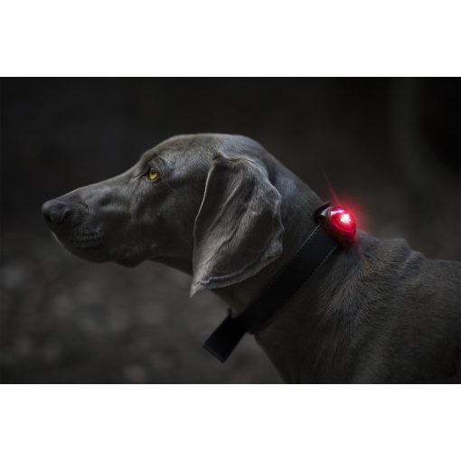 Orbiloc Dog Dual biztonsági lámpa | piros