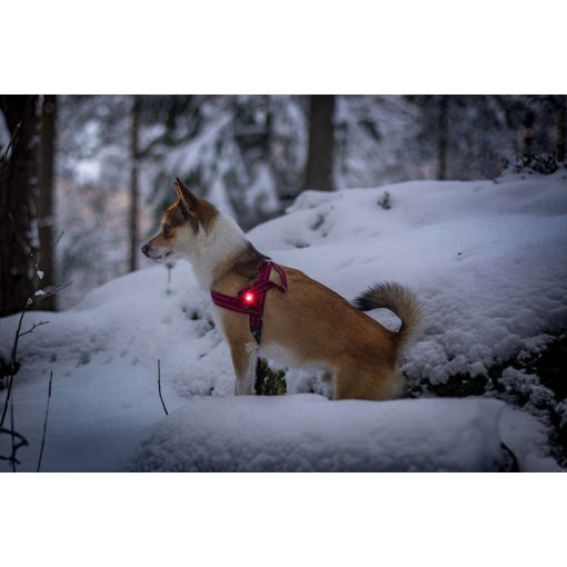 Orbiloc Dog Dual biztonsági lámpa | piros