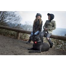 Orbiloc Dog Dual biztonsági lámpa | piros