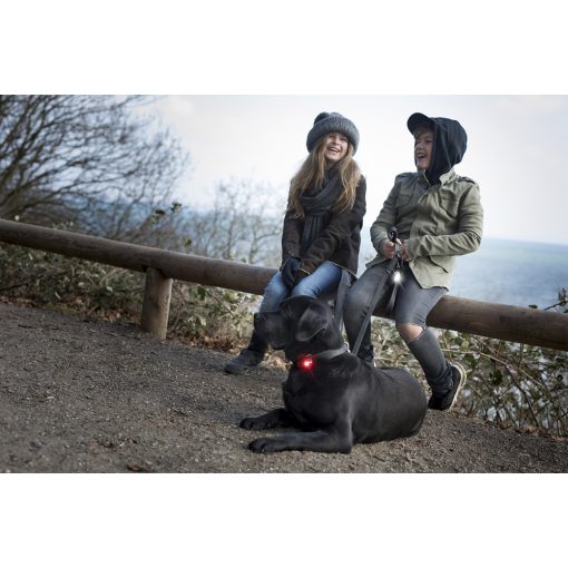 Orbiloc Dog Dual biztonsági lámpa | piros
