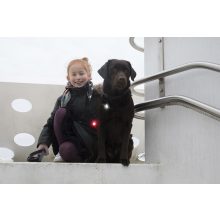 Orbiloc Dog Dual biztonsági lámpa | piros