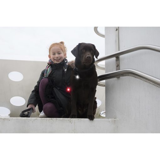 Orbiloc Dog Dual biztonsági lámpa | piros