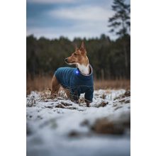 Orbiloc Dog Dual biztonsági lámpa | kék