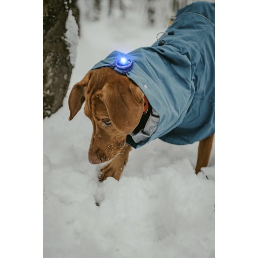 Orbiloc Dog Dual biztonsági lámpa | kék