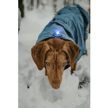 Orbiloc Dog Dual biztonsági lámpa | kék