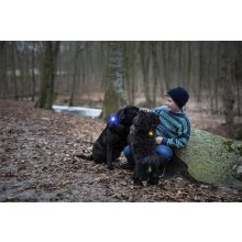 Orbiloc Dog Dual biztonsági lámpa | kék
