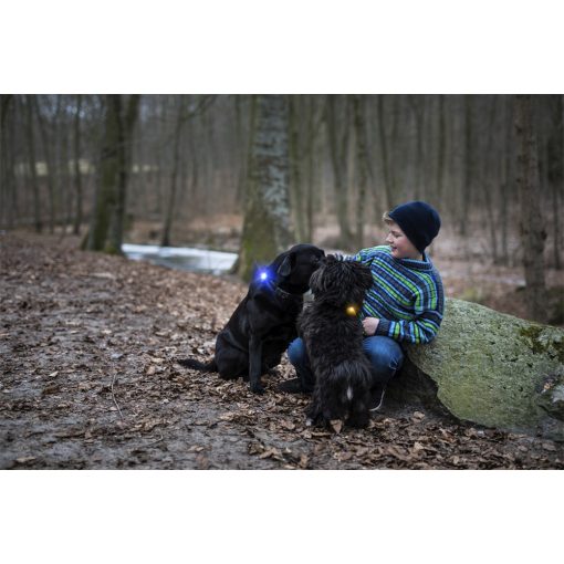Orbiloc Dog Dual biztonsági lámpa | kék
