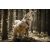 Orbiloc Dog Dual biztonsági lámpa | fehér