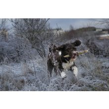 Orbiloc Dog Dual biztonsági lámpa | fehér