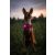 Orbiloc Dog Dual biztonsági lámpa | pink