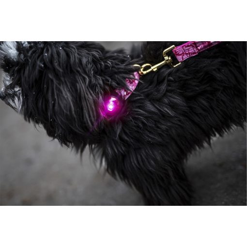 Orbiloc Dog Dual biztonsági lámpa | pink