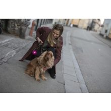 Orbiloc Dog Dual biztonsági lámpa | pink