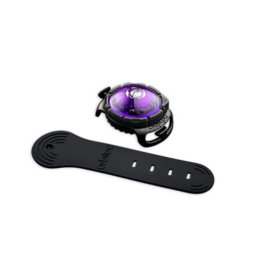 Orbiloc Dog Dual biztonsági lámpa | lila