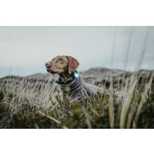 Orbiloc Dog Dual biztonsági lámpa | türkiz