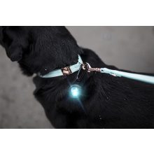 Orbiloc Dog Dual biztonsági lámpa | türkiz