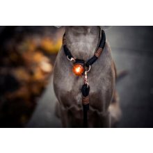 Orbiloc Dog Dual biztonsági lámpa | borostyán