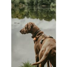 Orbiloc Dog Dual biztonsági lámpa | borostyán