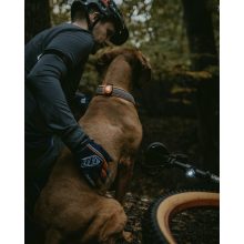 Orbiloc Dual K9 Active Pack biztonsági lámpa szett
