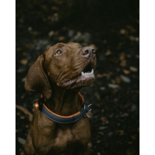Orbiloc Dual K9 Active Pack biztonsági lámpa szett