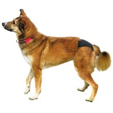 Trixie tüzelőbugyi fekete színű S-M méret (32-39 cm)