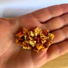 Barf Love sütőtök tréning jutalomfalat kutyáknak 100 g