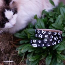 Bjež® Style Paws fejpánt | fekete-fehér