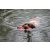Chuckit!® Amphibious Bumper - S méret