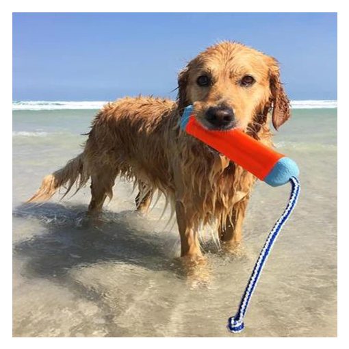 Chuckit!® Amphibious Bumper - S méret