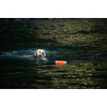 Chuckit!® Amphibious Bumper - S méret