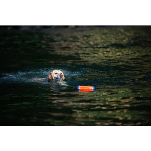 Chuckit!® Amphibious Bumper - S méret