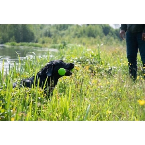 Dog Comets Meteor dobóbot | zöld S méret