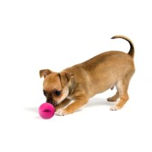 Dog Comets Stardust labda | pink M méret