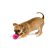 Dog Comets Stardust labda | pink S méret