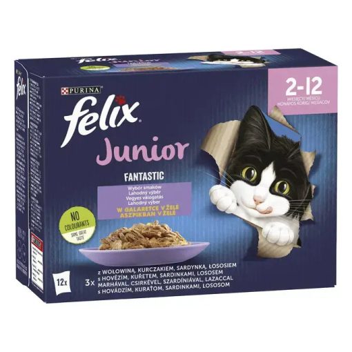 Felix Fantastic Junior vegyes válogatás aszpikban kölyökmacskáknak 12x85 g