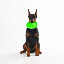 Flyber frizbi 22 cm