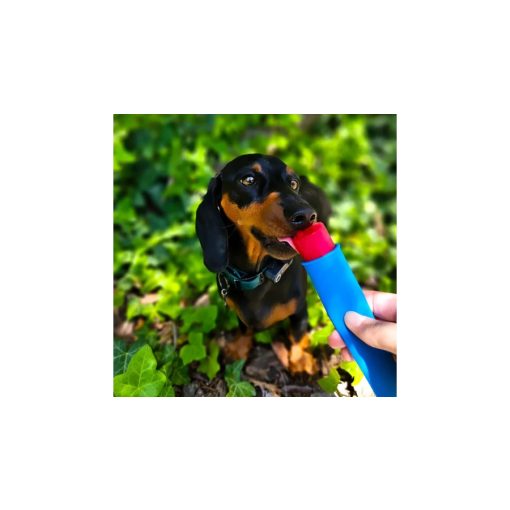 Fürree fagyipor kutyáknak kollagénnel | eper