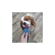 Fürree fagyipor kutyáknak kollagénnel | eper