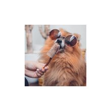 Fürree fagyipor kutyáknak kollagénnel | eper