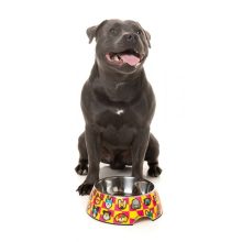 FuzzYard Bowl Doggoforce kutyatál L méret 810 ml