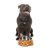 FuzzYard Bowl Doggoforce kutyatál L méret 810 ml
