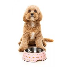 FuzzYard Bowl Sushiba kutyatál M méret 400 ml