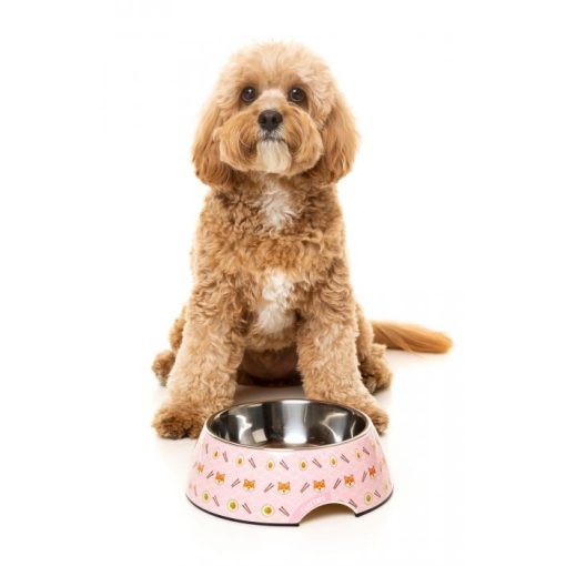 FuzzYard Bowl Sushiba kutyatál M méret 400 ml
