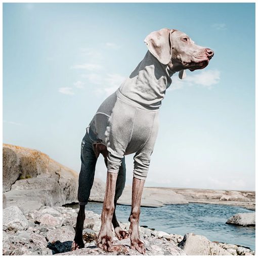 Hurtta Body Warmer testmelegítő | szürke 40XS