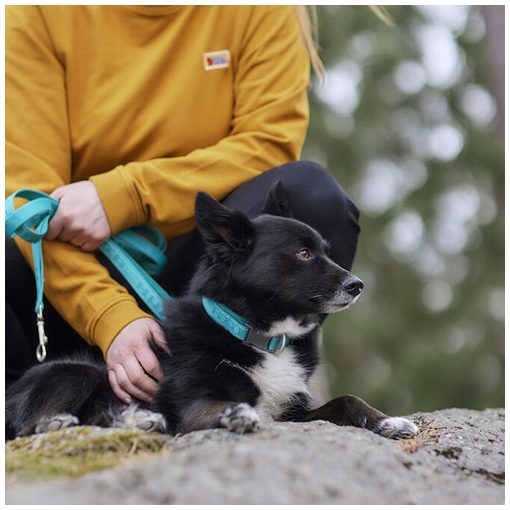 Hurtta Casual nyakörv fahéj