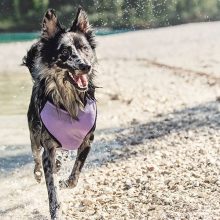 Hurtta Cooling hűtőhám | lila 80-100